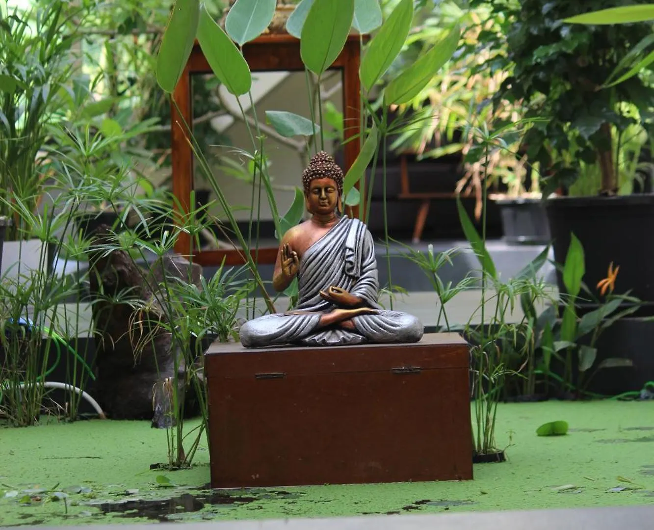 Chittattinkara Ayurvilla Traditional Wellness Retreat Thiruvananthapuram Panzió