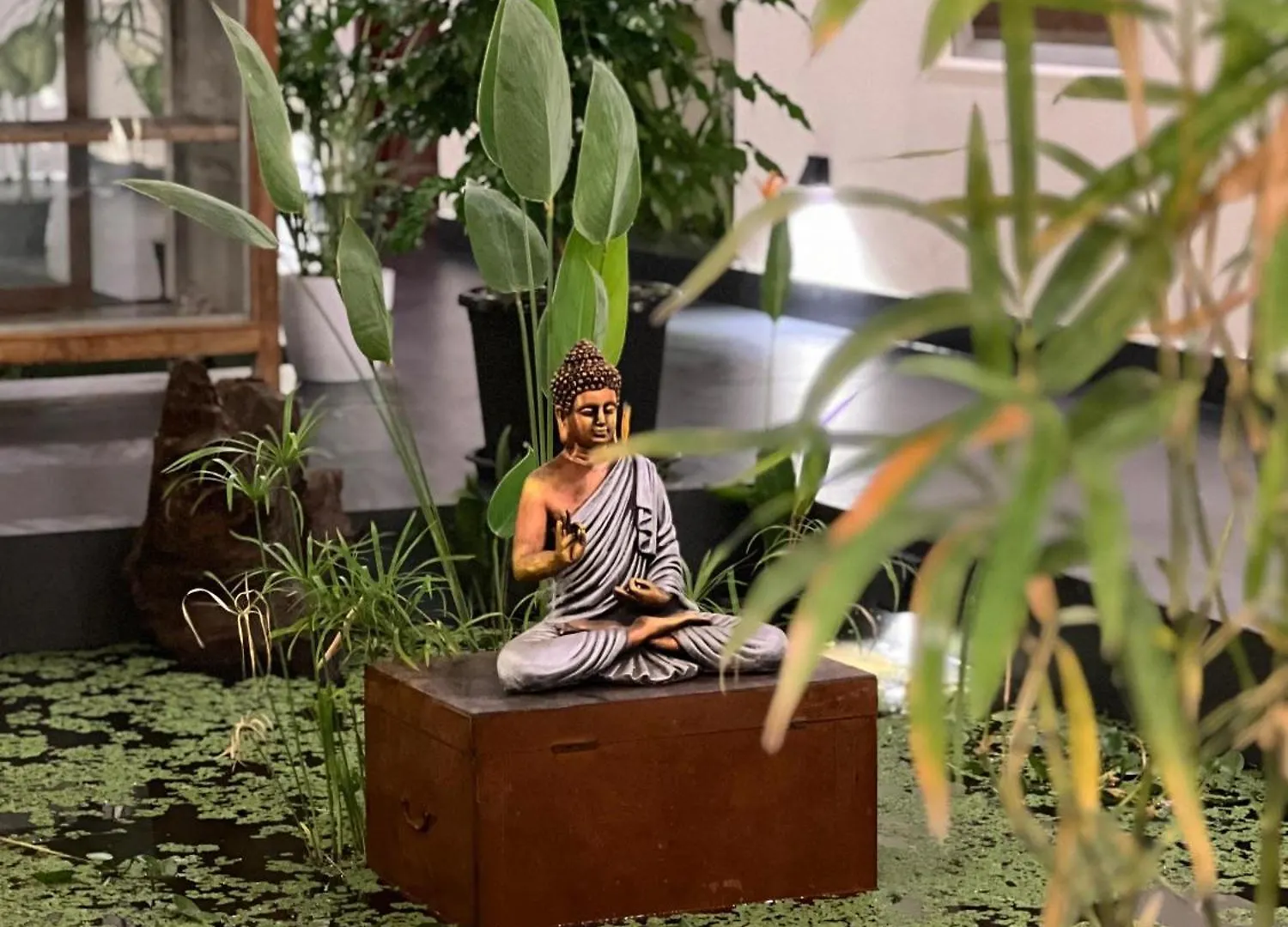 Panzió Chittattinkara Ayurvilla Traditional Wellness Retreat Thiruvananthapuram India